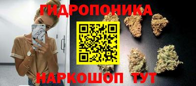СК Лесосибирск